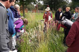 Wildflower ID Workshop delivered by Wildscapes