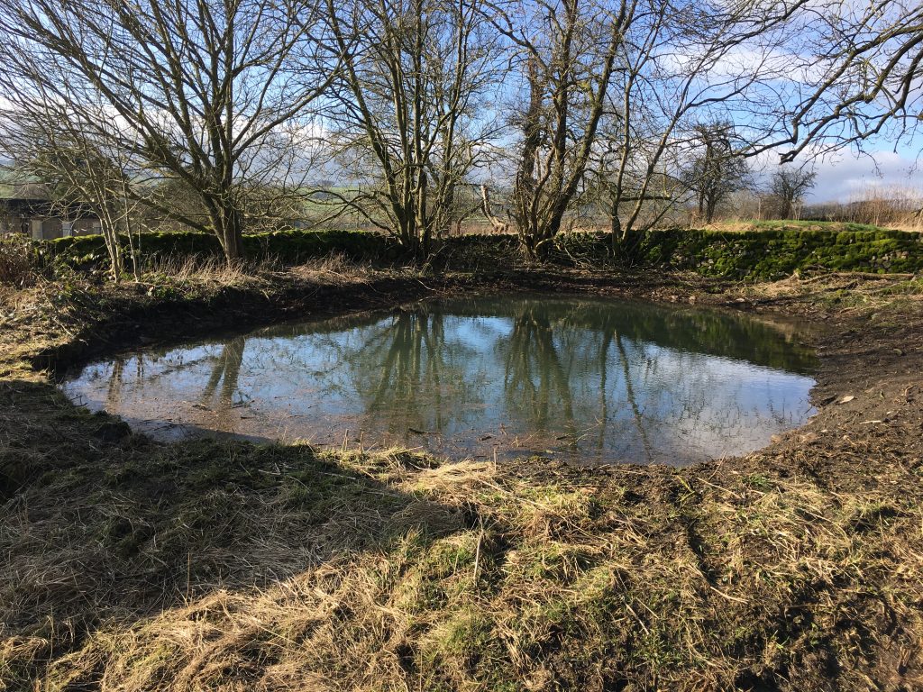 Wildscapes pond restoration in Derbyshire