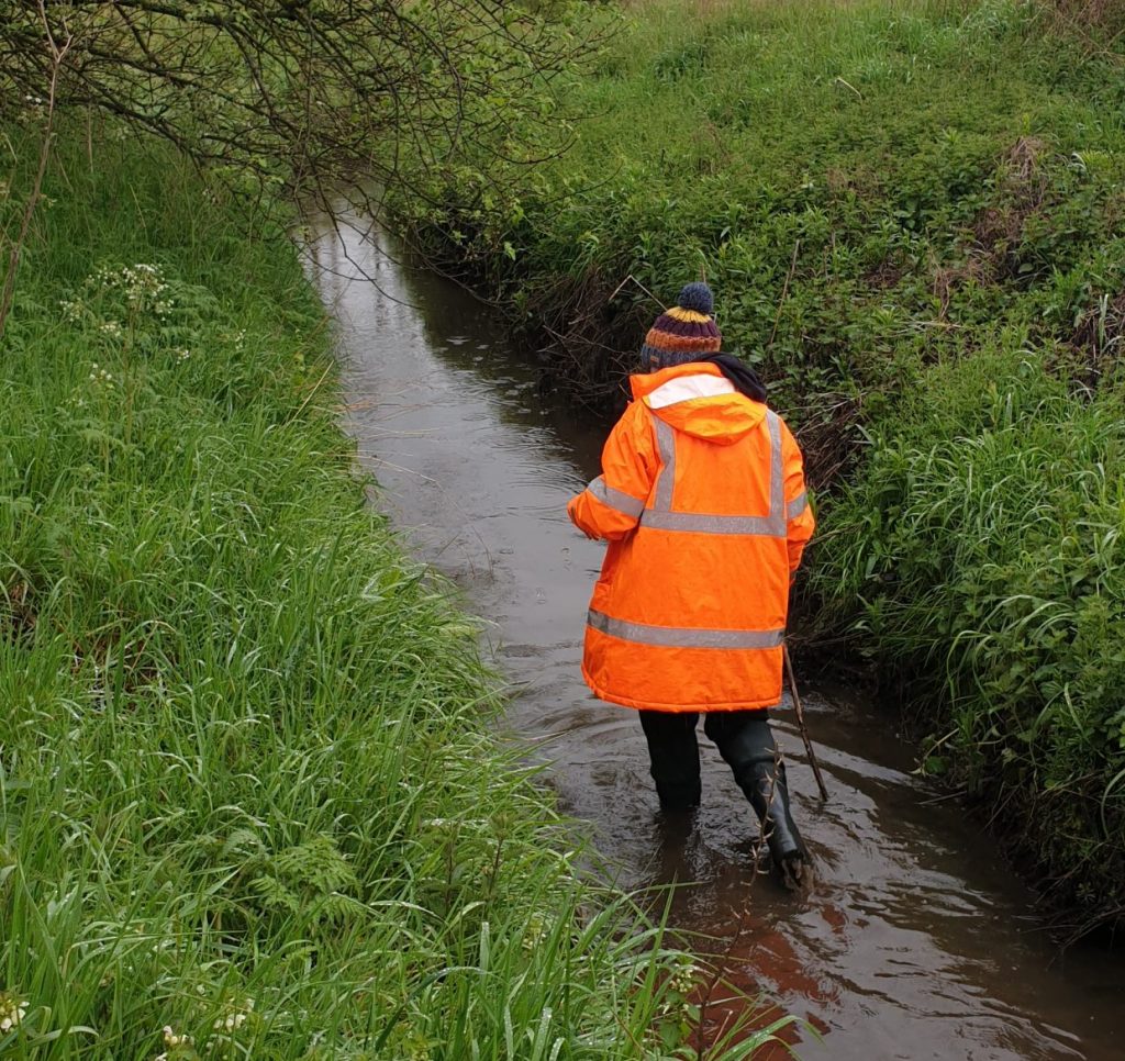 The Wildscapes ecology team conducting a water vole survey