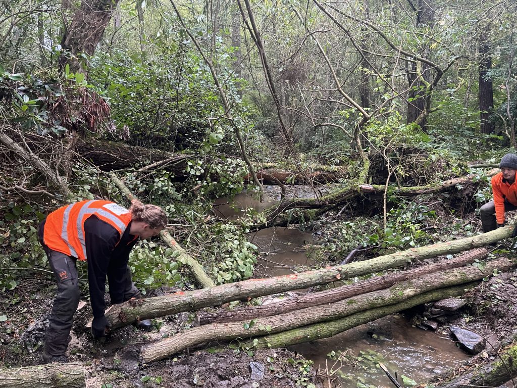 Our Conservation Contracts Team working on a natural flood management project