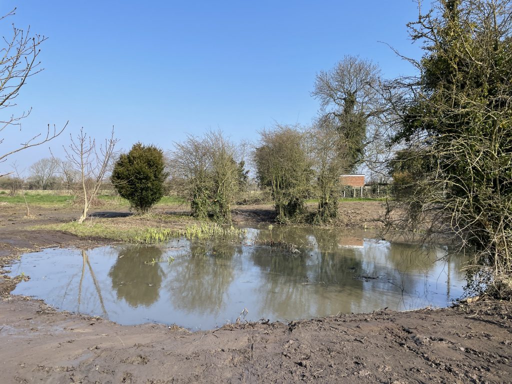 Pond restored by Wildscapes CIC in North Lincs