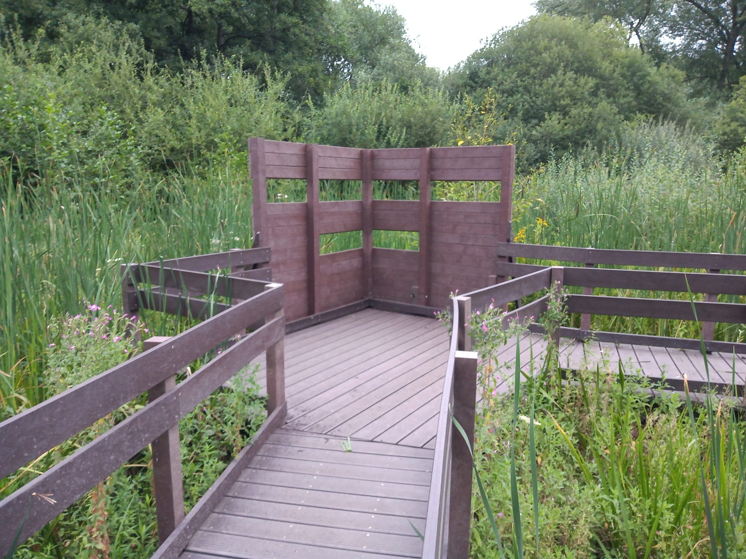 Boardwalk and bird hide on nature reserve