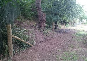 Post and wire fencing project