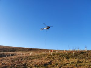 Wildscapes CIC helicopter tree stake delivery
