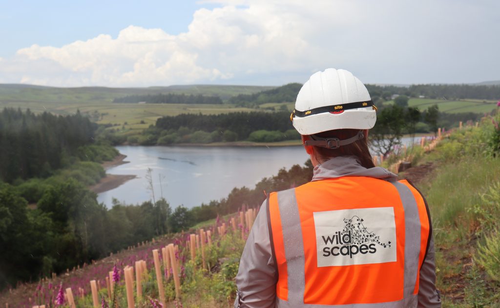 A member of the Wildscapes team taking in the spectacular views