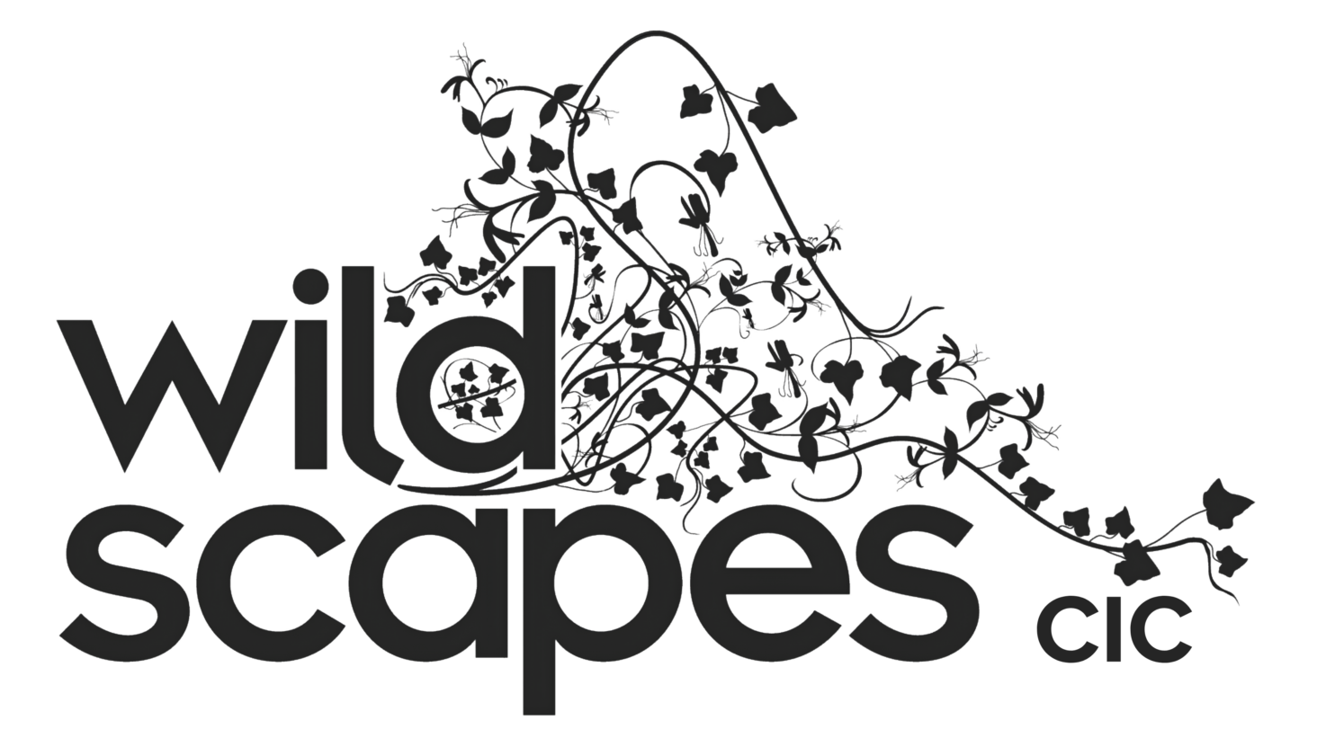 Wildscapes