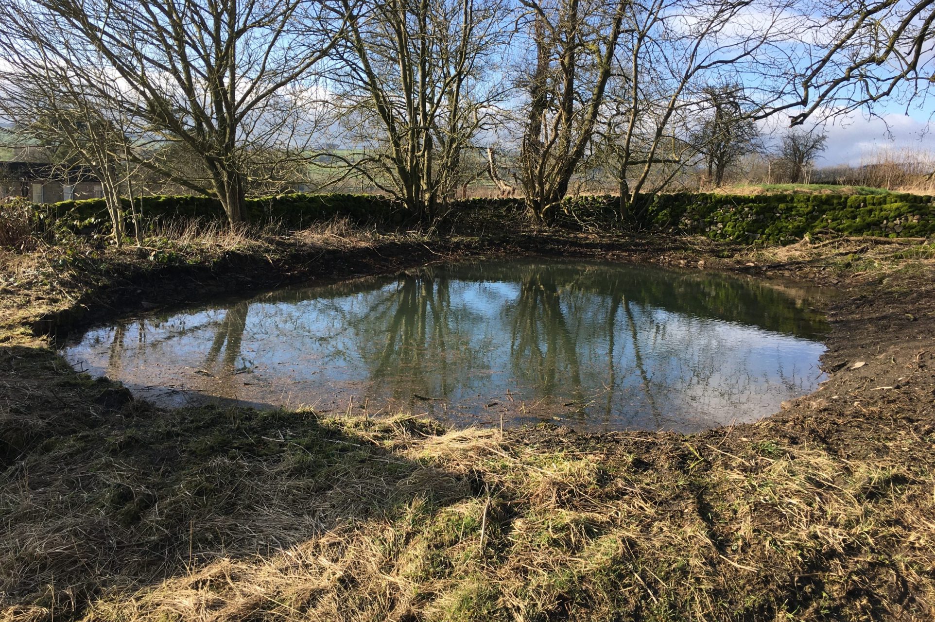 Wildscapes pond restoration in Derbyshire